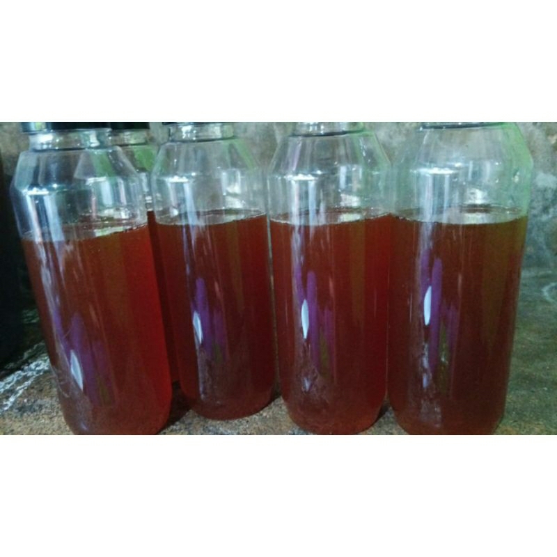 

Madu Galo-Galo (Trigona/Klanceng)