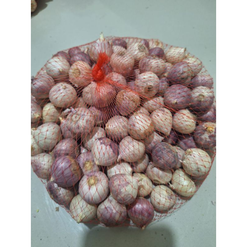 

BAWANG PUTIH TUNGGAL BAWANG LANANG 250GR