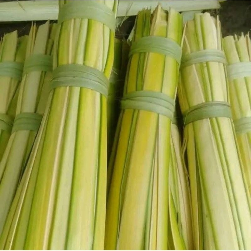 

Promo 100 Pcs Janur Kuning Daun Kelapa Muda Untuk Bahan Ketupat Atau Acara Pernikahan
