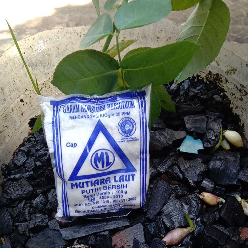 

Garam Halus ( 10.000 dapat 10 )