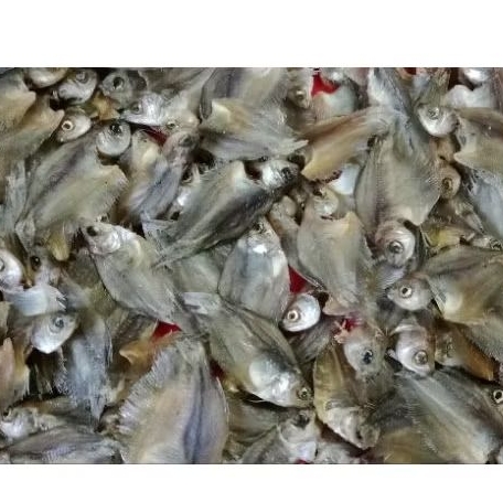 

Ikan kering Sapat curai, Ikan Asin sepat, Iwak karing sapat ukuran kecil sedang
