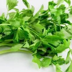 Daun Seledri 1 Kg