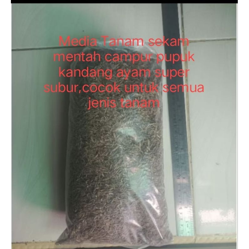 pupuk media tanam sekam mentah campur pupuk kandang ayam sesuai foto