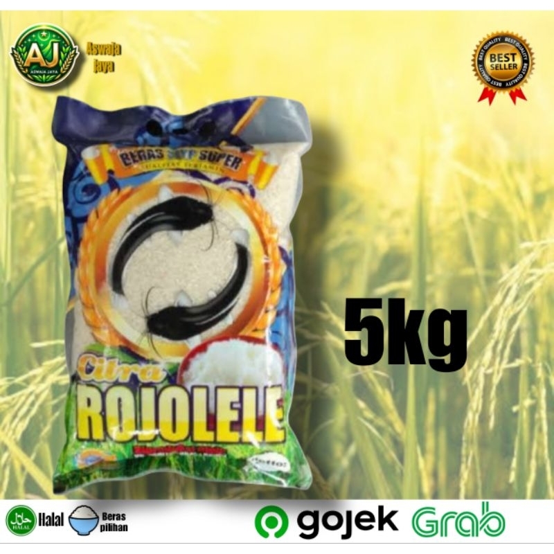 

Beras ROJOLELE 5KG - Citra Premium Quality