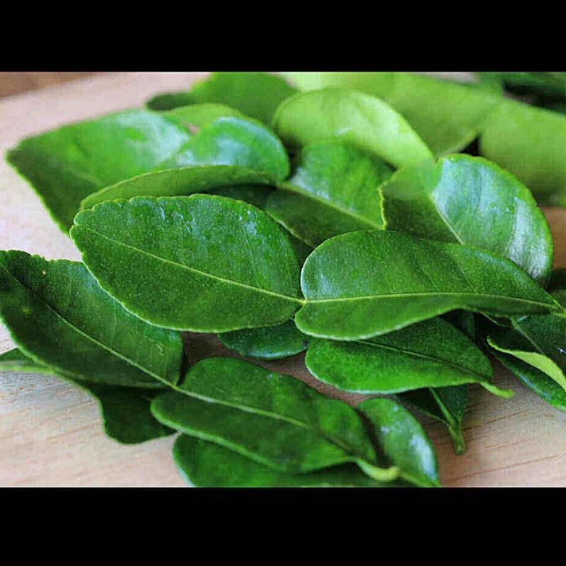 

1KG DAUN JERUK PURUT