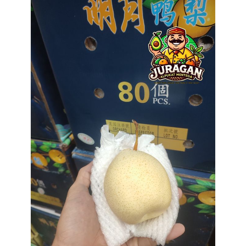 

Pear Yalie Pir Import Fresh / Buah Pear Pir Yalie Fresh