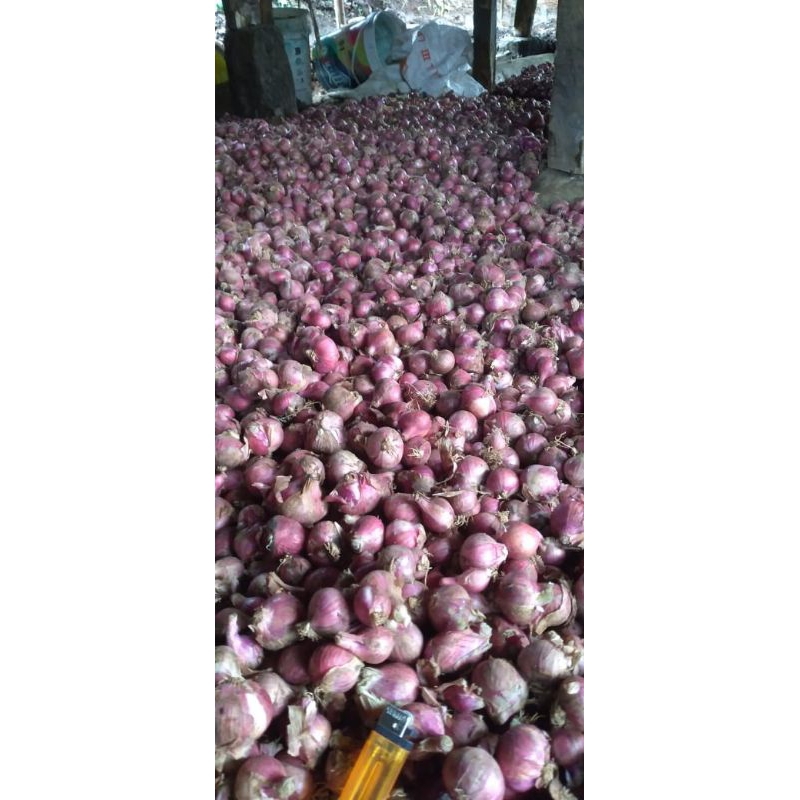 

bawang merah lokal 1kg murah termurah lokal