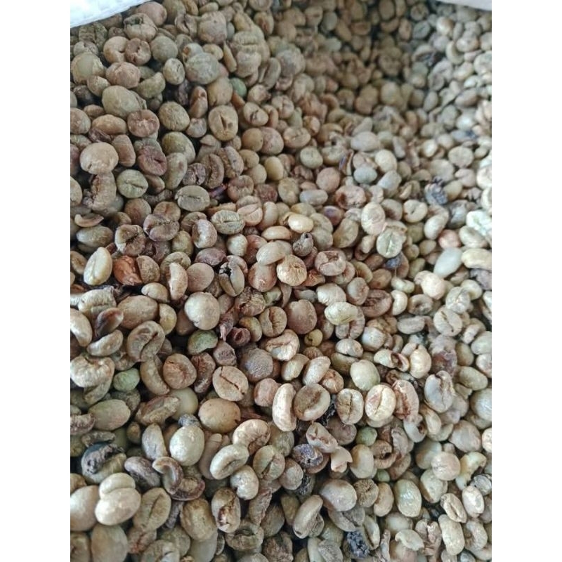 Biji kopi Robusta Mentah Kering Kopi Sidikalang | Biji kopi pilihan