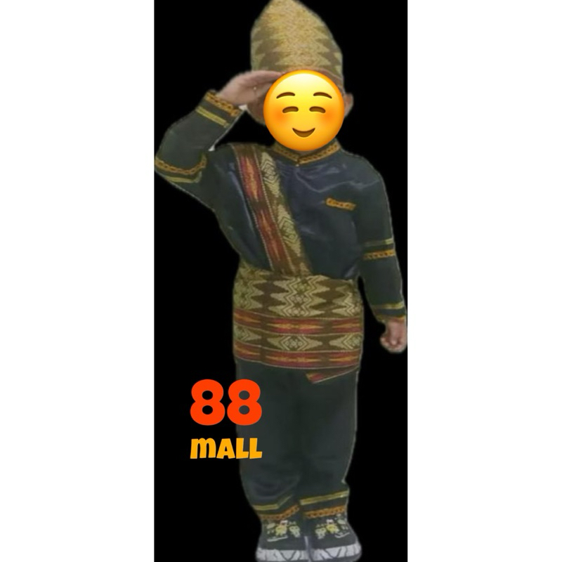 Baju Busana Pakaian Adat Batak Sumatera Utara Anak Laki & Perempuan - Set Lengkap Kostum Karnaval Se