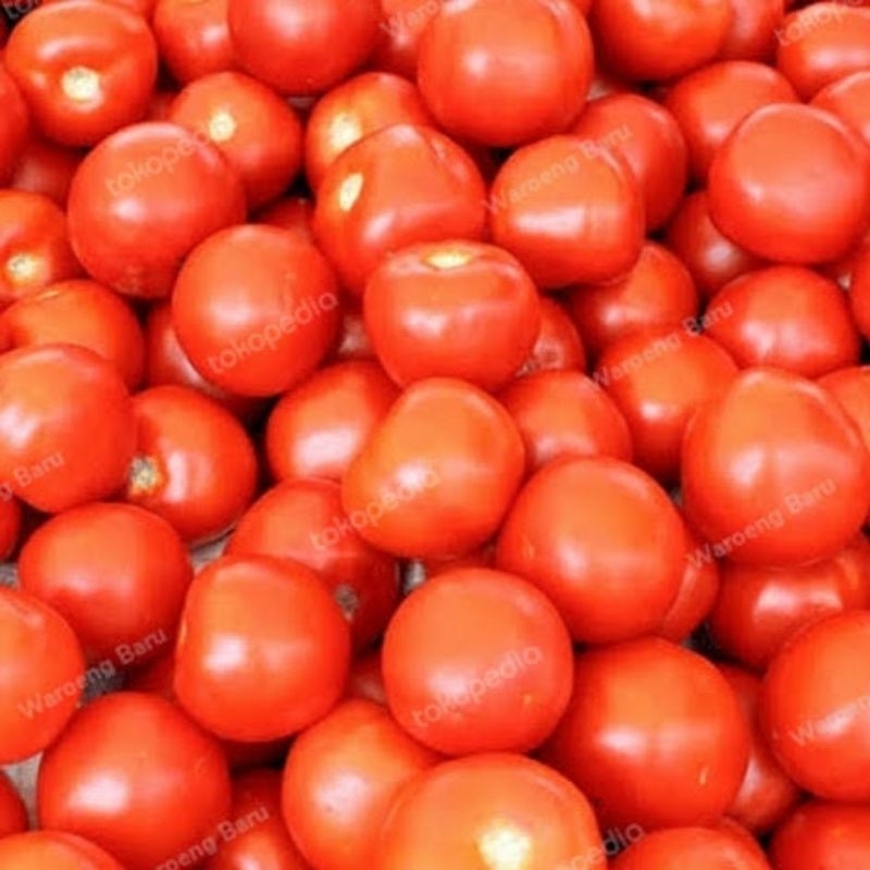 

tomat merah segar 250gram