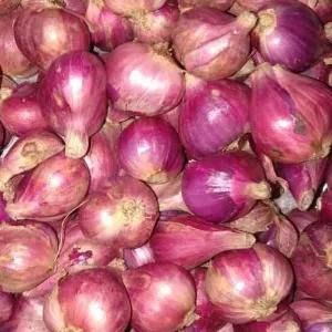

bawang merah brebes besar 500 gr