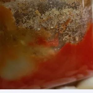 

bumbu halus rica - rica 150 g