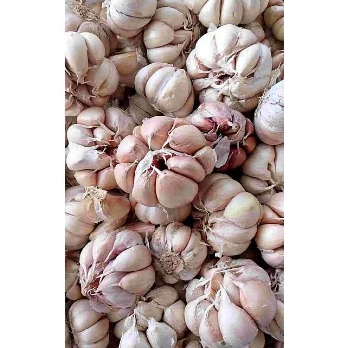 

Bawang putih BERSIH 1kg / 500gram