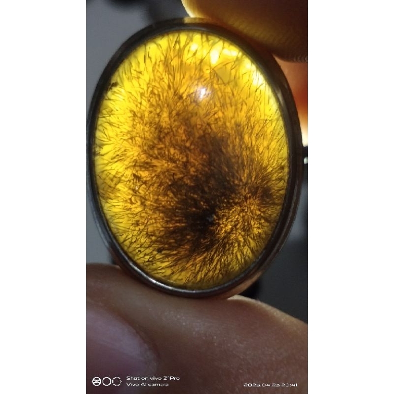 natural rambut cendana emas baturaja