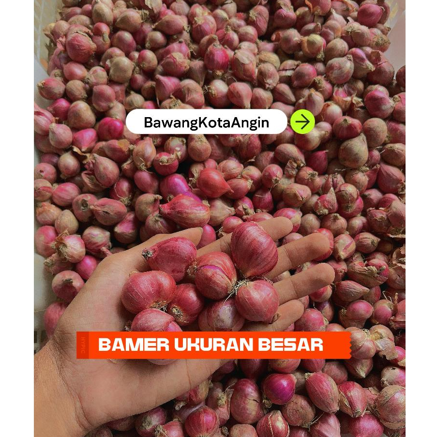 

bawang merah super murah (BERAT 250g)