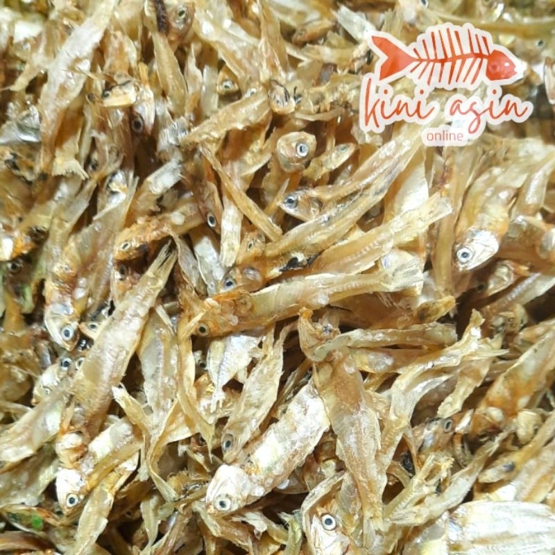 

Ikan Teri Tawar Kering Fresh Berkualitas