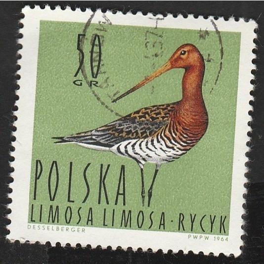 

A 11859 SATU BUAH PRANGKO POLANDIA NOMINAL 50 GR TEMA SATWA BURUNG LIMOSA LIMOSA TYCYK DENGAN KONDISI SUDAHADA CAP