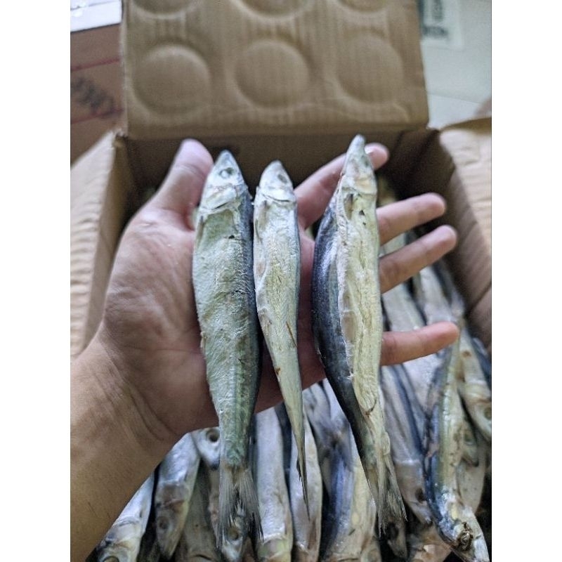

ikan asin.japuh.berat.500.gram