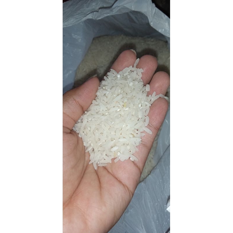 

Beras Lokal asli Panenan Sendiri