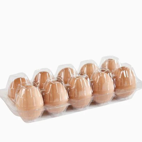 

Telur Ayam Negri 10 Butir
