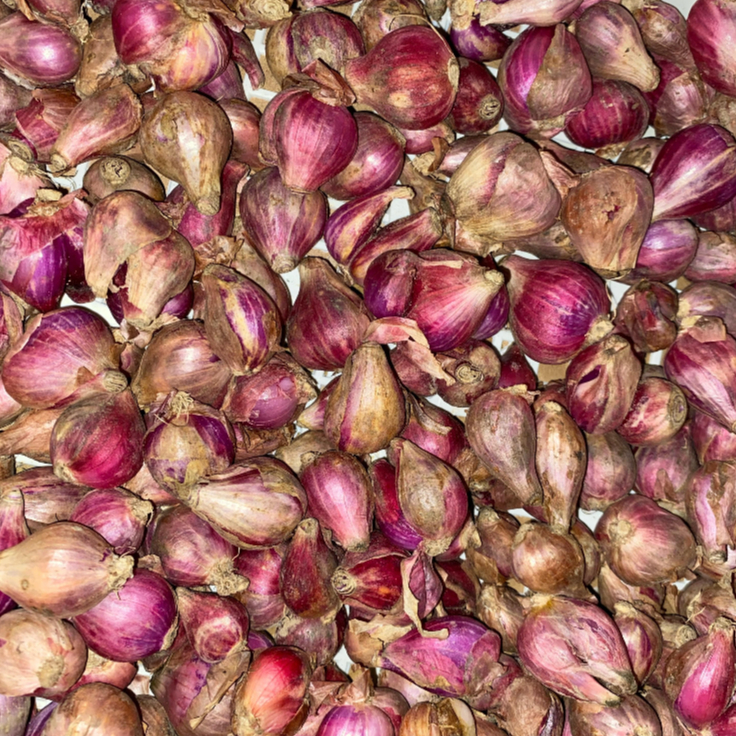 

Geene Bawang Merah Lokal Super 500 gr - 1 kg - Sayur Online Sidoarjo