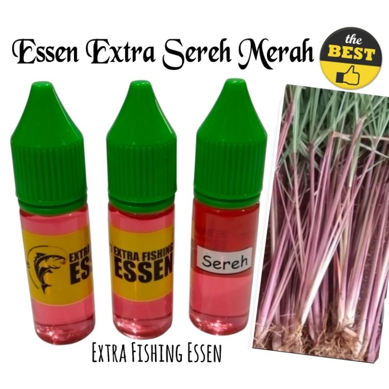 Essen SEREH MERAH EXTRA STRONG, 100% Murni untuk Mancing dll