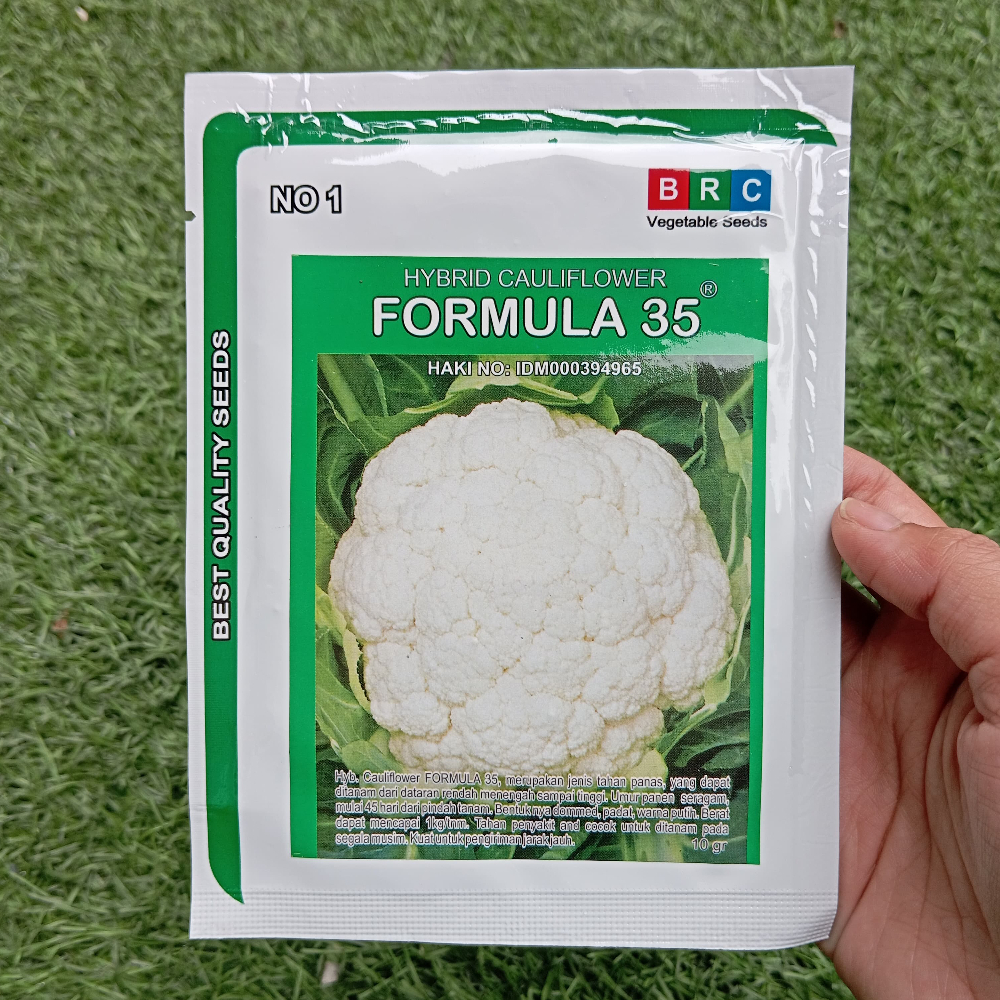 Benih Kembang Kol FORMULA 35 10 Gram