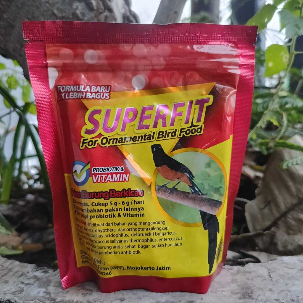 VOER SUPERFIT RED VOER BURUNG MURAI BATU LOMBA DAN BREEDING BERKUALITAS MANJANGIN EKOR