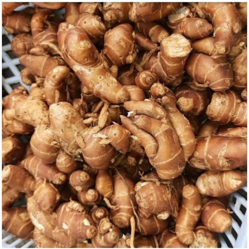 

cikur sukro kencur seblak rempah rempah 1 kg