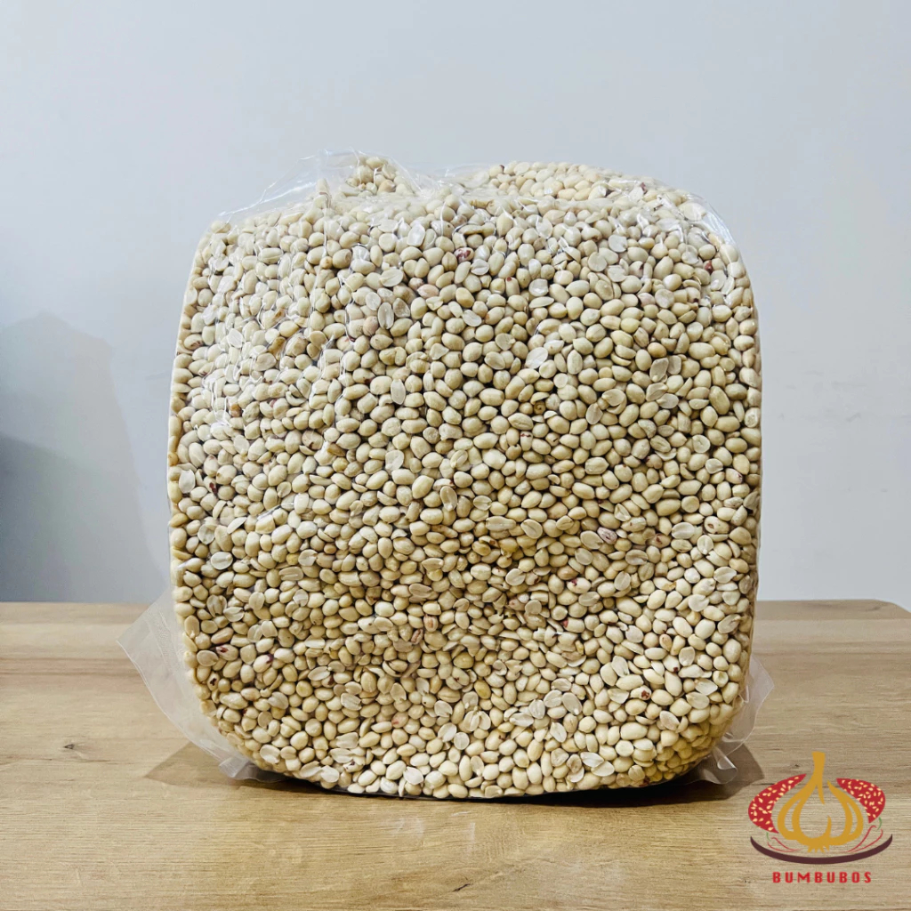 

Termurah!! 1 Kg Kacang Kupas/ Kacang Tanah Mentah/ Kacang Tanah Kupas Super Ukuran Kecil/Sedang/Besar