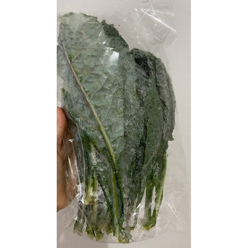 

KALE ORGANIK | SAYUR