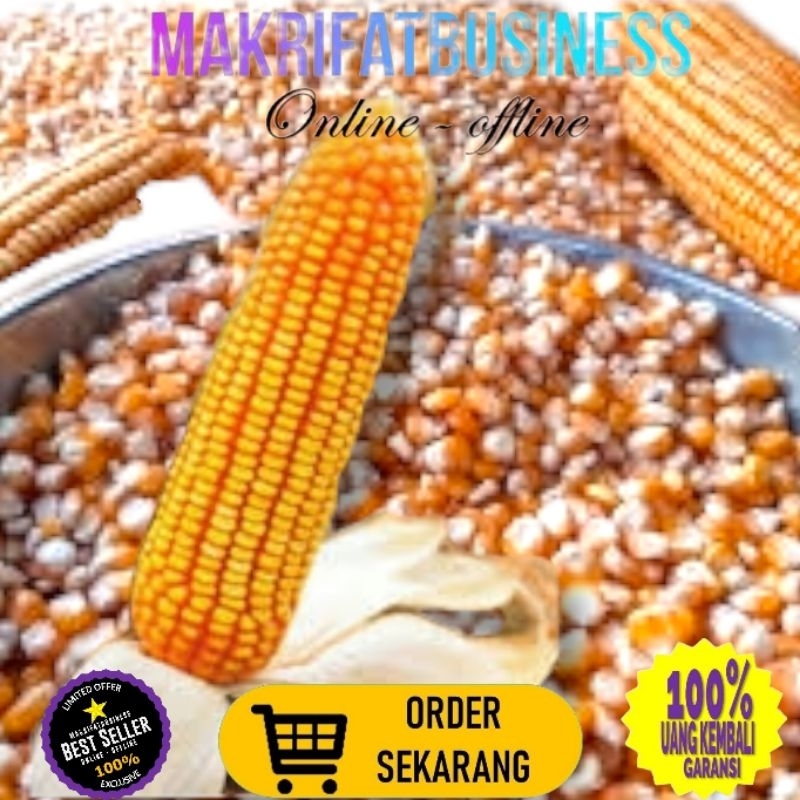

MAKRIFATBUSINESS Paket 500 gram JAGUNG PIPIL HIBRIDA Kwalitas Bersih Untuk Konsumsi Pakan Ternak Bibit Serta Keperluan lainnya