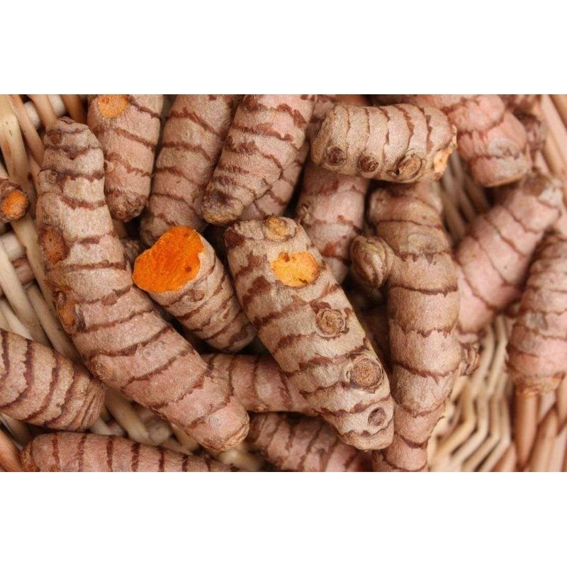 

kunyit segar fres 1kg