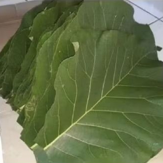 

DAUN JATI UNTUK MEMBUNGKUS MAKAN TRADISIONAL 1 KG