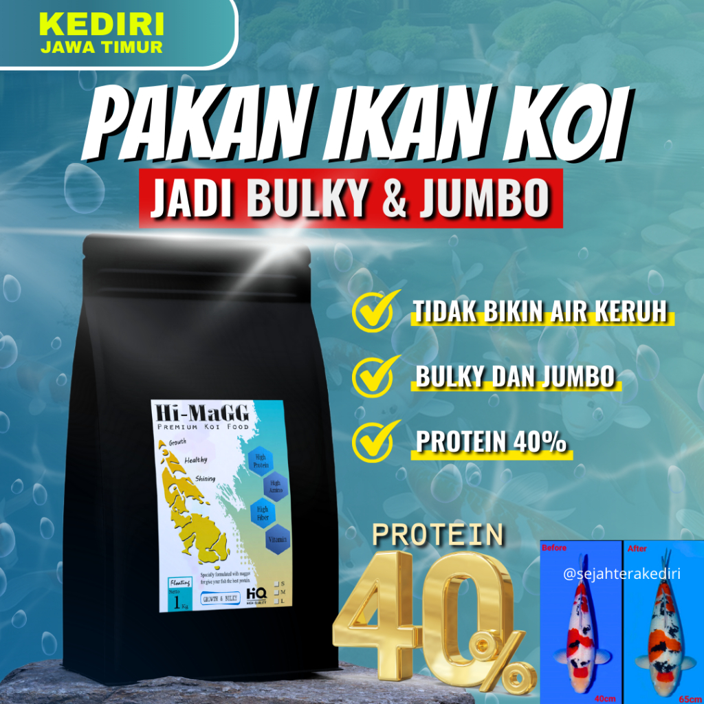 Pakan Koi 1 KG Protein tinggi / Pelet koi bulky / pakan koi bulky Hi-MaGG Premium Growth 1 KG
