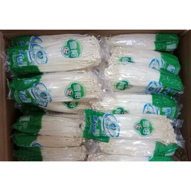 

Jamur Enoki Astronot 100G
