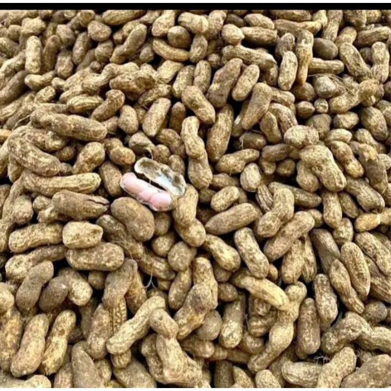 

kacang tanah mentah 1kg