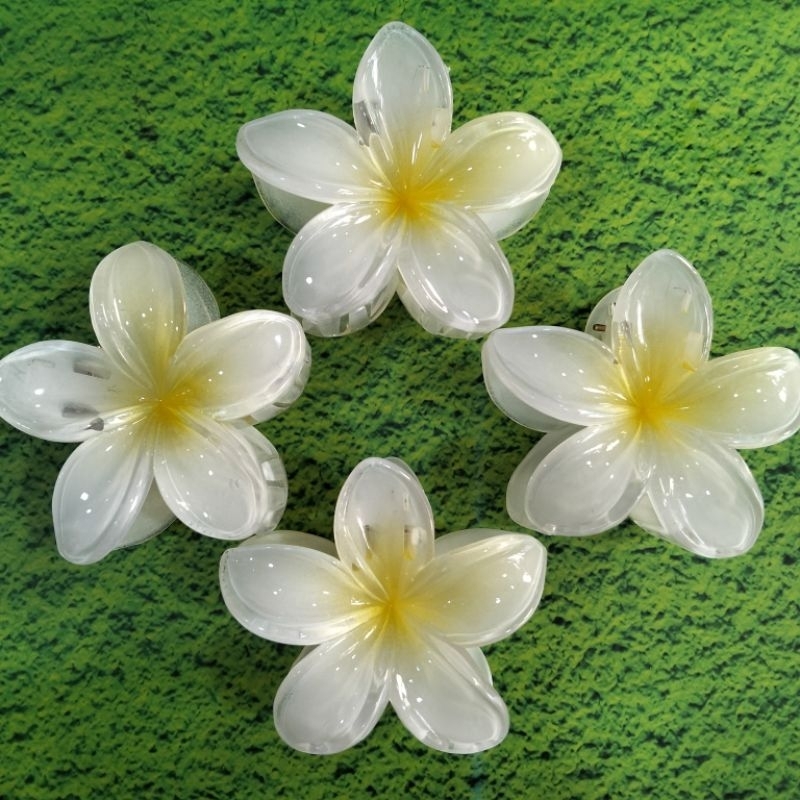 JEPITAN KAMBOJA | JEDAI KAMBOJA 8 CM | KAMBOJA PUTIH