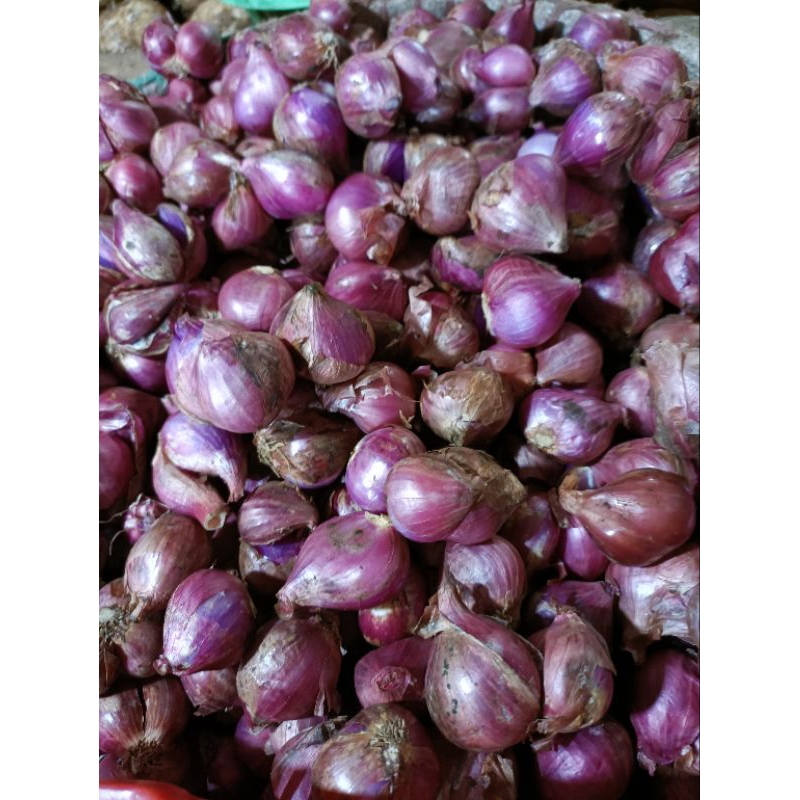 

bawang merah 250gr