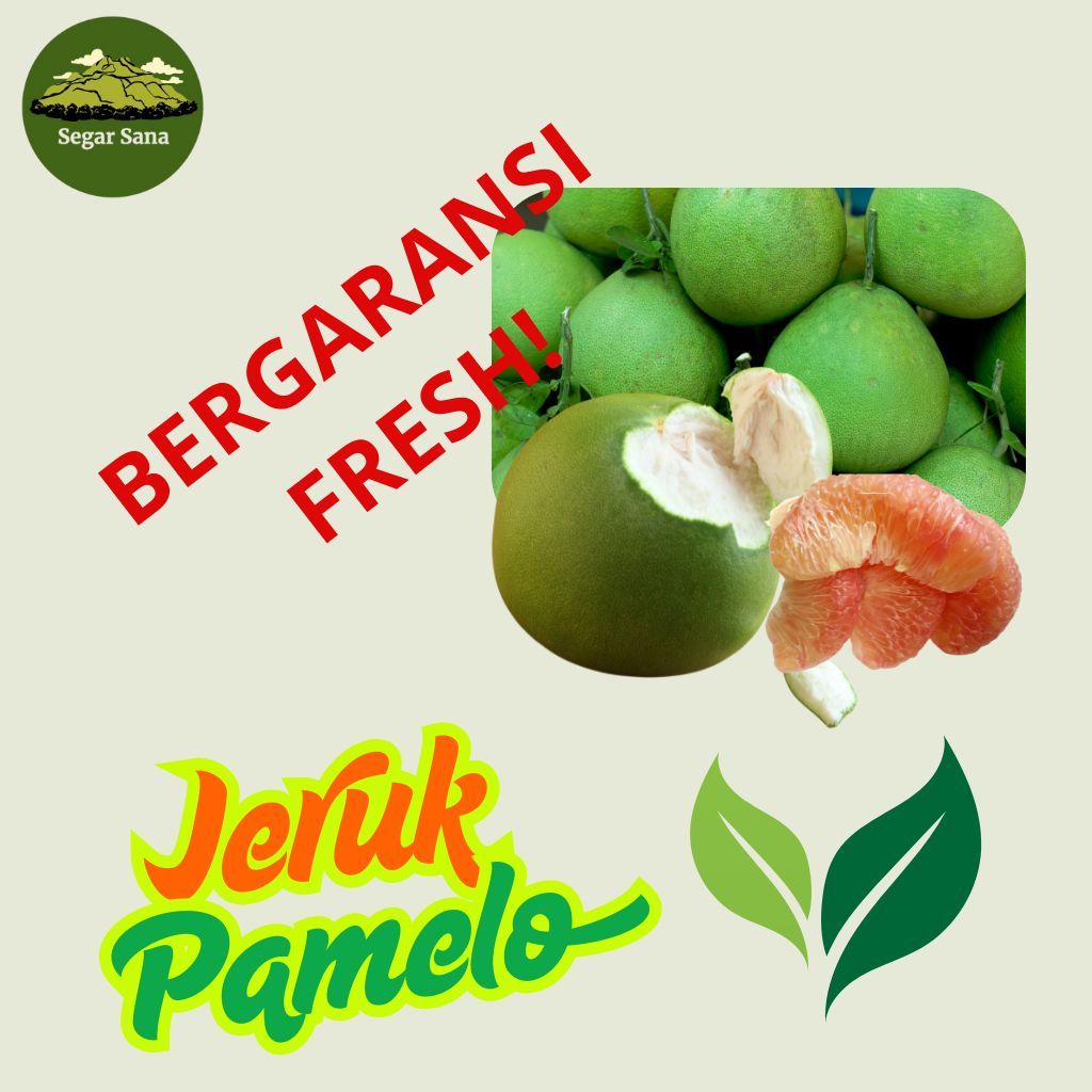 

JERUK PAMELO ASLI LERENG MURIA 1,3Kg- 1,8Kg
