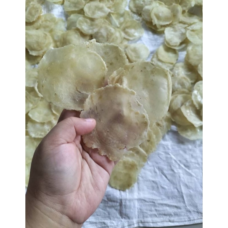 

EMPING MELINJO MENTAH ASLI LIMPUNG 500 GR LB
