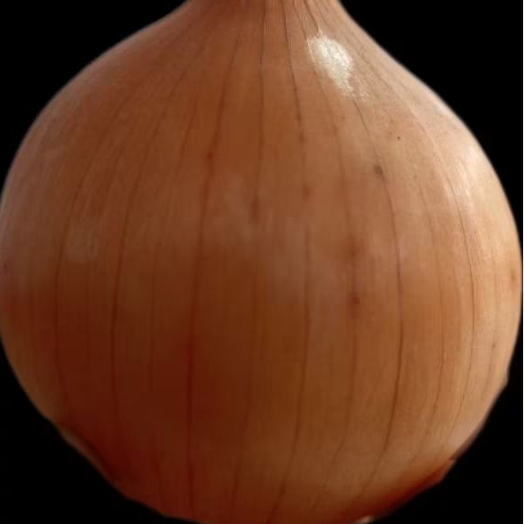 

Bawang Bombay Besar