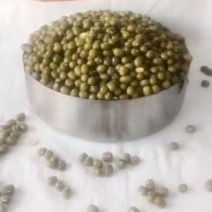 

Kacang Hijau Ribbon Australi Grade A