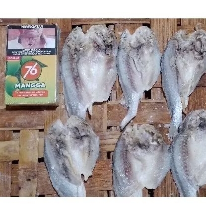 

1000gram/1kg.2in1.ikan.Gulama.belah/Samge.dan.ikan.Belanak.dan.bonus.ikan.asin.lain.
