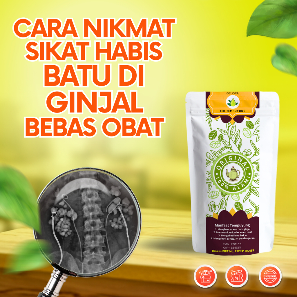 

CEPAT HANCUR LEBURKAN, BATU GINJAL BATU EMPEDU BERBAGAI UKURAN TEH TEMPUYUNG BATU GINJAL EMPEDU