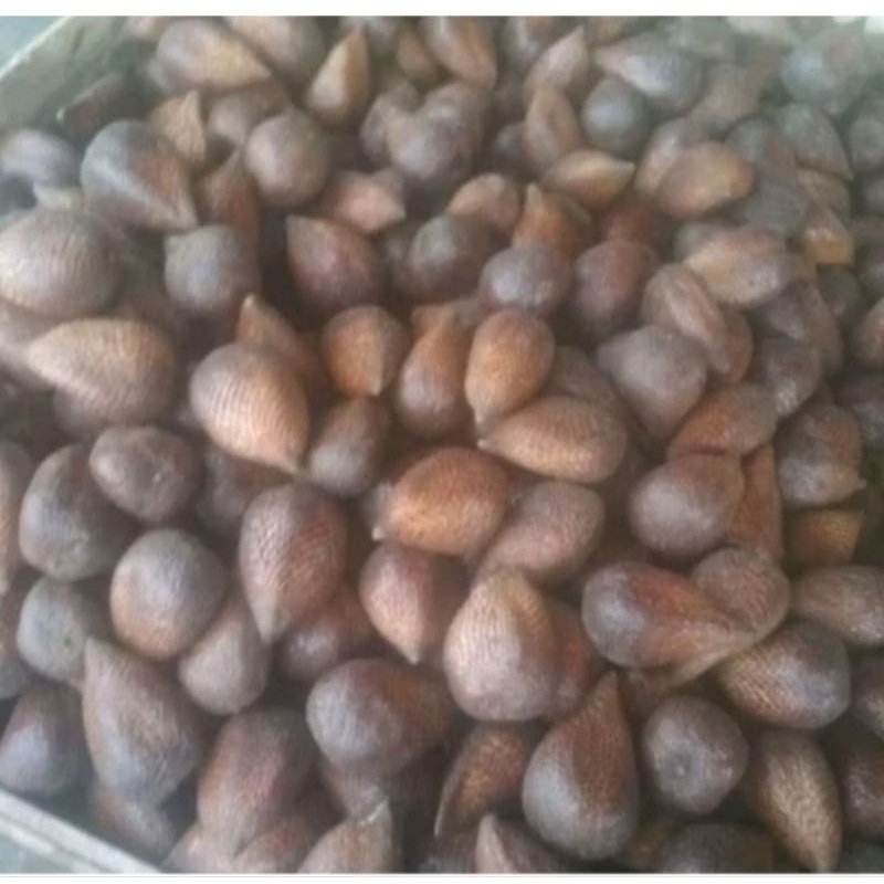 

Buah Salak Segar Fresh Enak