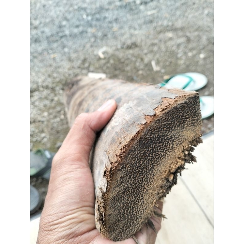 bahan kerajinan  kayu galih liwung macan super