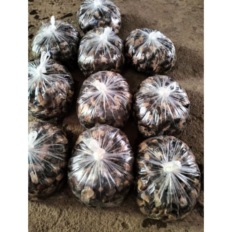

bekicot fresh 500g
