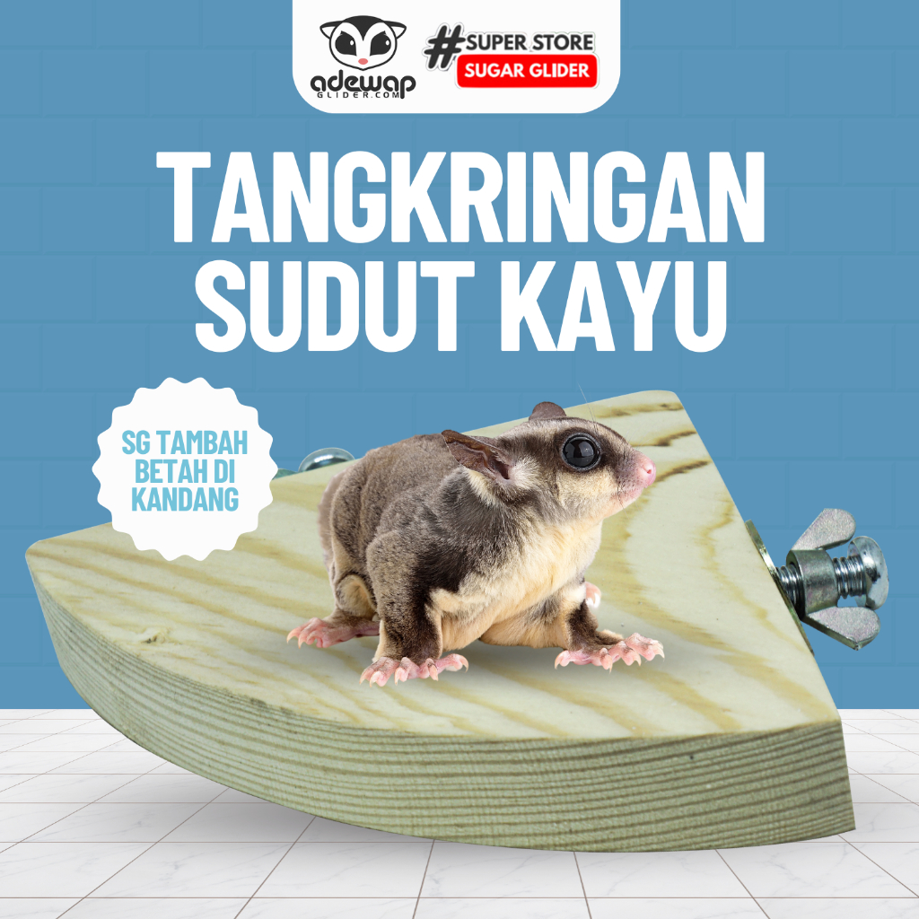 ADEWAP GLIDER Tangkringan Standing Sudut Kandang Sugar Glider
