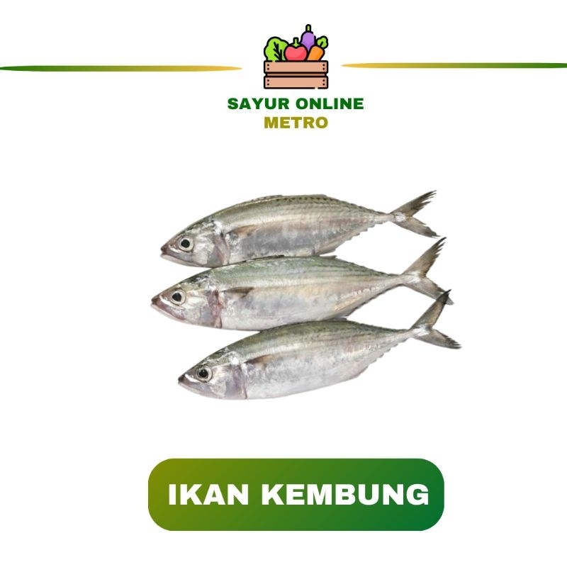 

Ikan Kembung /fres/segar/500gr - Sayur Online Metro